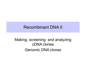 Recombinant DNA II Making, screening  and analyzing cDNA clones Genomic DNA clones