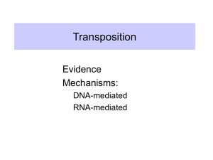 Transposition Evidence Mechanisms: DNA-mediated