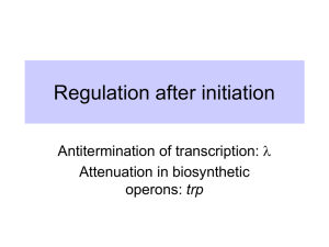 Regulation after initiation Antitermination of transcription: Attenuation in biosynthetic operons: