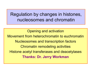 Regulation by changes in histones, nucleosomes and chromatin