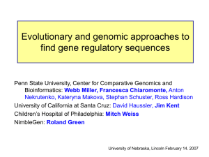 Evolutionary and genomic approaches to find gene regulatory sequences