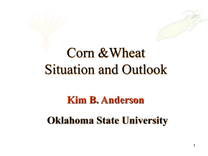 Corn &amp;Wheat Situation and Outlook Oklahoma State University Kim B. Anderson