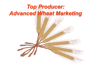 Top Producer: Advanced Wheat Marketing