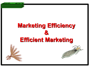 Marketing Efficiency &amp; Efficient Marketing H:/anderso/compserv/mktg/mktgefficiency.ppt