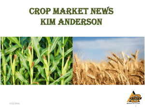 Crop Market News Kim Anderson 7/12/2016 1