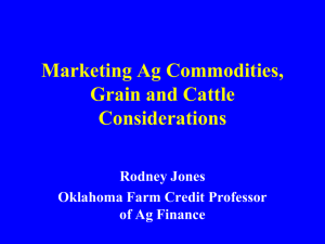 Marketing Ag Commodities, Grain and Cattle Considerations Rodney Jones