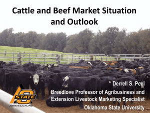 Cattle and Beef Market Situation and Outlook