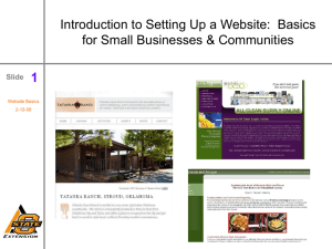 1 Introduction to Setting Up a Website:  Basics Slide