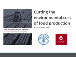 Cutting the environmental cost of food production Study Webcast