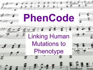 PhenCode Linking Human Mutations to Phenotype