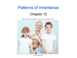 Patterns of Inheritance Chapter 12