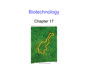 Biotechnology Chapter 17