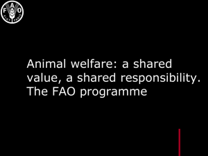 Animal welfare: a shared value, a shared responsibility. The FAO programme