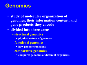 Genomics study of molecular organization of divided into three areas