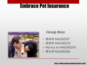 Embrace Pet Insurance Group three • 黃琤琁 MA260207