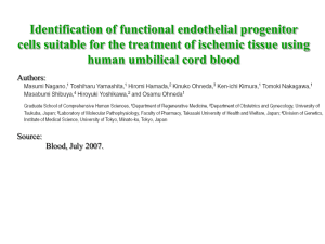 Identification of functional endothelial progenitor