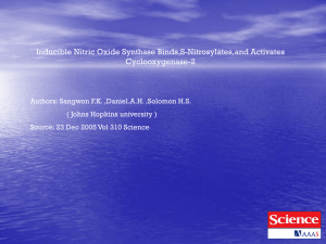 Inducible Nitric Oxide Synthase Binds,S-Nitrosylates,and Activates Cyclooxygenase-2