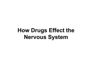 How Drugs Effect the Nervous System