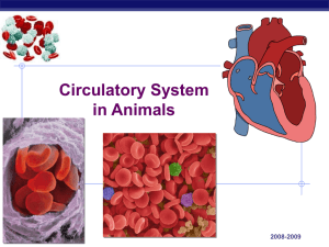 Circulatory System in Animals Regents Biology 2008-2009