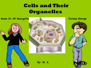 Cells and Their Organelles Curious George Know-It-All Georgette