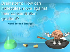 Brainstorm: How can molecules move against their concentration gradient?