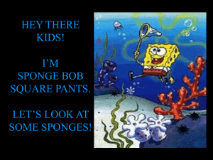 HEY THERE KIDS! I’M SPONGE BOB