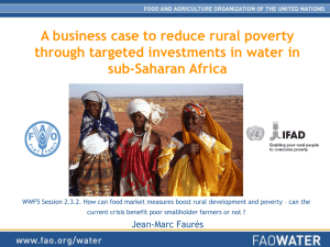 A business case to reduce rural poverty sub-Saharan Africa