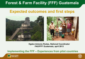 Forest &amp; Farm Facility (FFF) Guatemala Expected outcomes and first steps