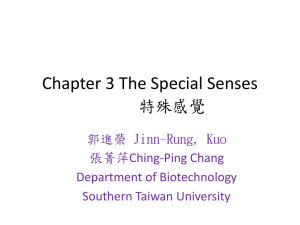 Chapter 3 The Special Senses 特殊感覺 郭進榮 Jinn-Rung, Kuo 張菁萍Ching-Ping Chang