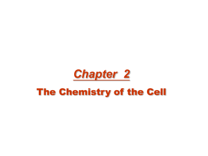 Chapter  2 The Chemistry of the Cell