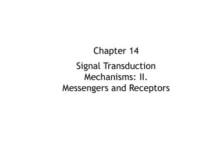 Chapter 14 Signal Transduction Mechanisms: II. Messengers and Receptors