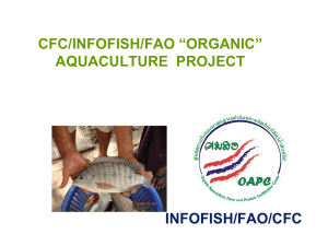 CFC/INFOFISH/FAO “ORGANIC” AQUACULTURE  PROJECT INFOFISH/FAO/CFC