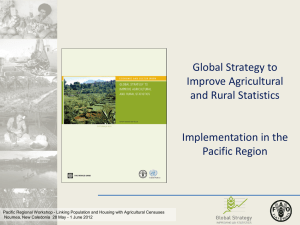 Global Strategy to Improve Agricultural and Rural Statistics Implementation in the