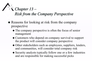 Chapter 13 – Risk from the Company Perspective prospective