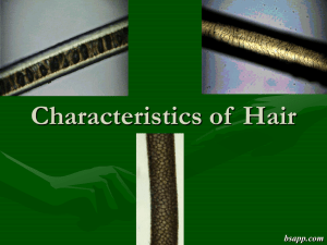 Characteristics of  Hair bsapp.com
