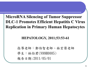MicroRNA Silencing of Tumor Suppressor DLC-1 Promotes Efficient Hepatitis C Virus