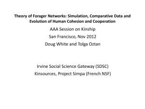 Theory of Forager Networks: Simulation, Comparative Data and