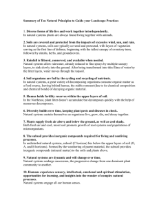Summary of Ten Natural Principles to Guide your Landscape Practices