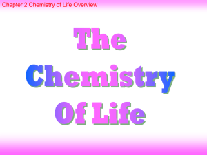 Chapter 2 Chemistry of Life Overview
