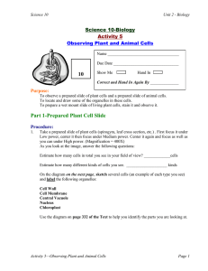 10 Science 10-Biology Activity 5 Observing Plant and Animal Cells