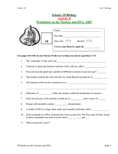 Science 10-Biology Activity 8 Worksheet on the Nucleus and DNA -2007 10