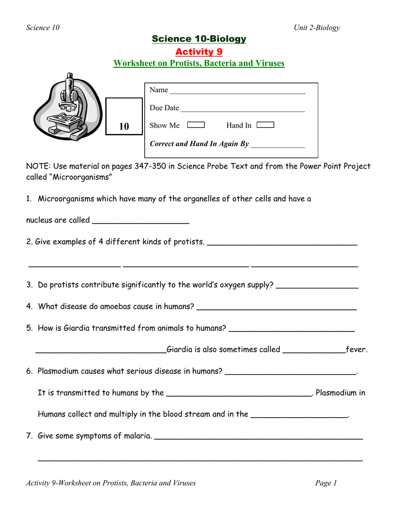 Virus And Bacteria Worksheet