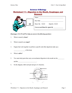 10 Science 9-Biology Worksheet 7-1—Digestion in the Mouth, Esophagus and Stomach