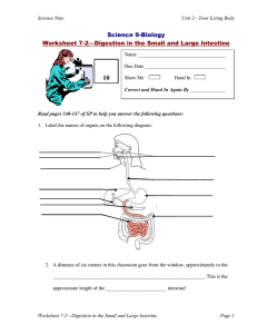 10 Science 9-Biology Worksheet 7-2—Digestion in the Small and Large Intestine