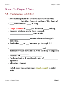 Science 9 – Chapter 7 Notes