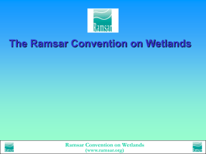 The Ramsar Convention on Wetlands Ramsar Convention on Wetlands (www.ramsar.org)