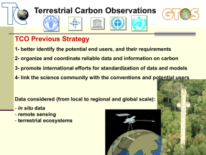 Terrestrial Carbon Observations TCO Previous Strategy