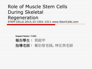 Role of Muscle Stem Cells During Skeletal Regeneration 報告學生： 郭啟甲