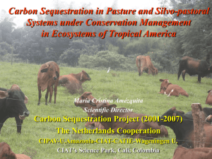 Carbon Sequestration in Pasture and Silvo-pastoral Systems under Conservation Management