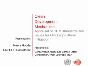 Clean Development Mechanism Appraisal of CDM standards and